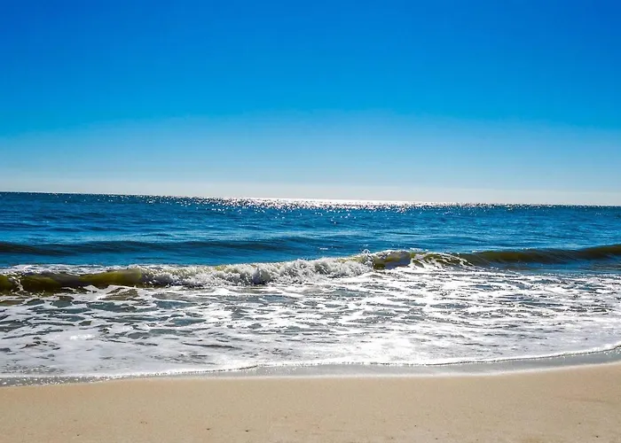 Ocean Front Oasis Pensacola